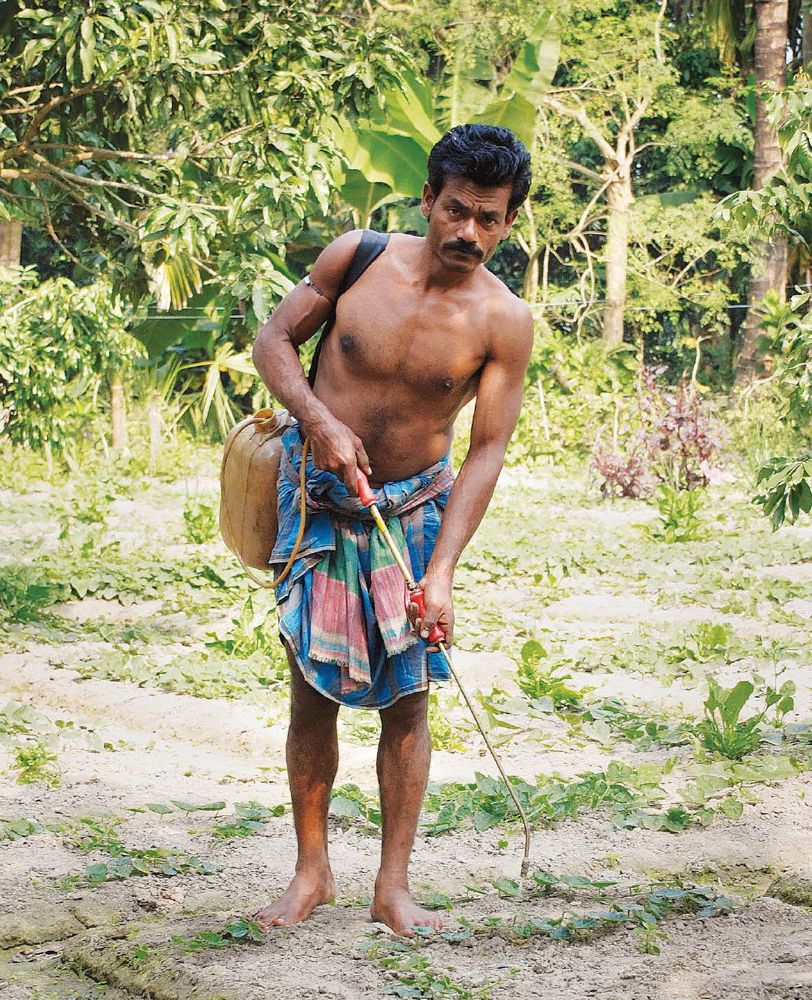 Eco Culture and Biodiversity